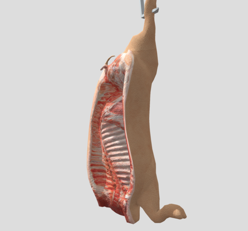 Hanging Pig Carcass preview image 1
